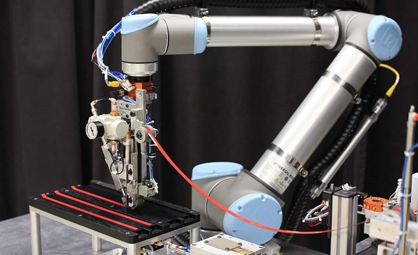 robot dan gioang seal