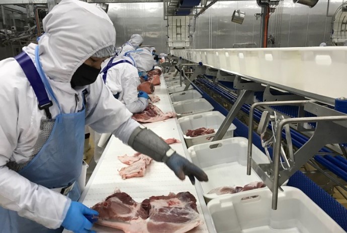 Ứng dụng trong chế biến thực phẩm thịt lợn Ứng dụng trong chế biến thực phẩm thịt lợn