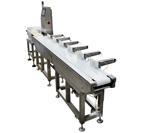 Băng tải đai Băng tải đai