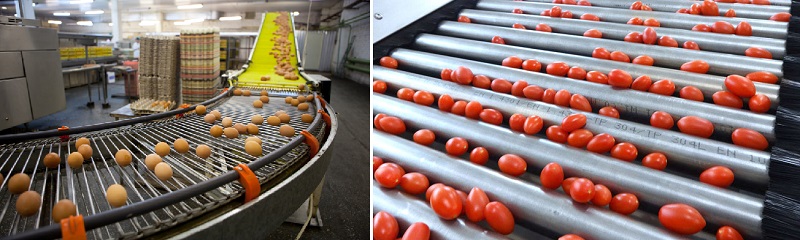 day chuyen phan loai theo kich thuoc day chuyen phan loai theo kich thuoc